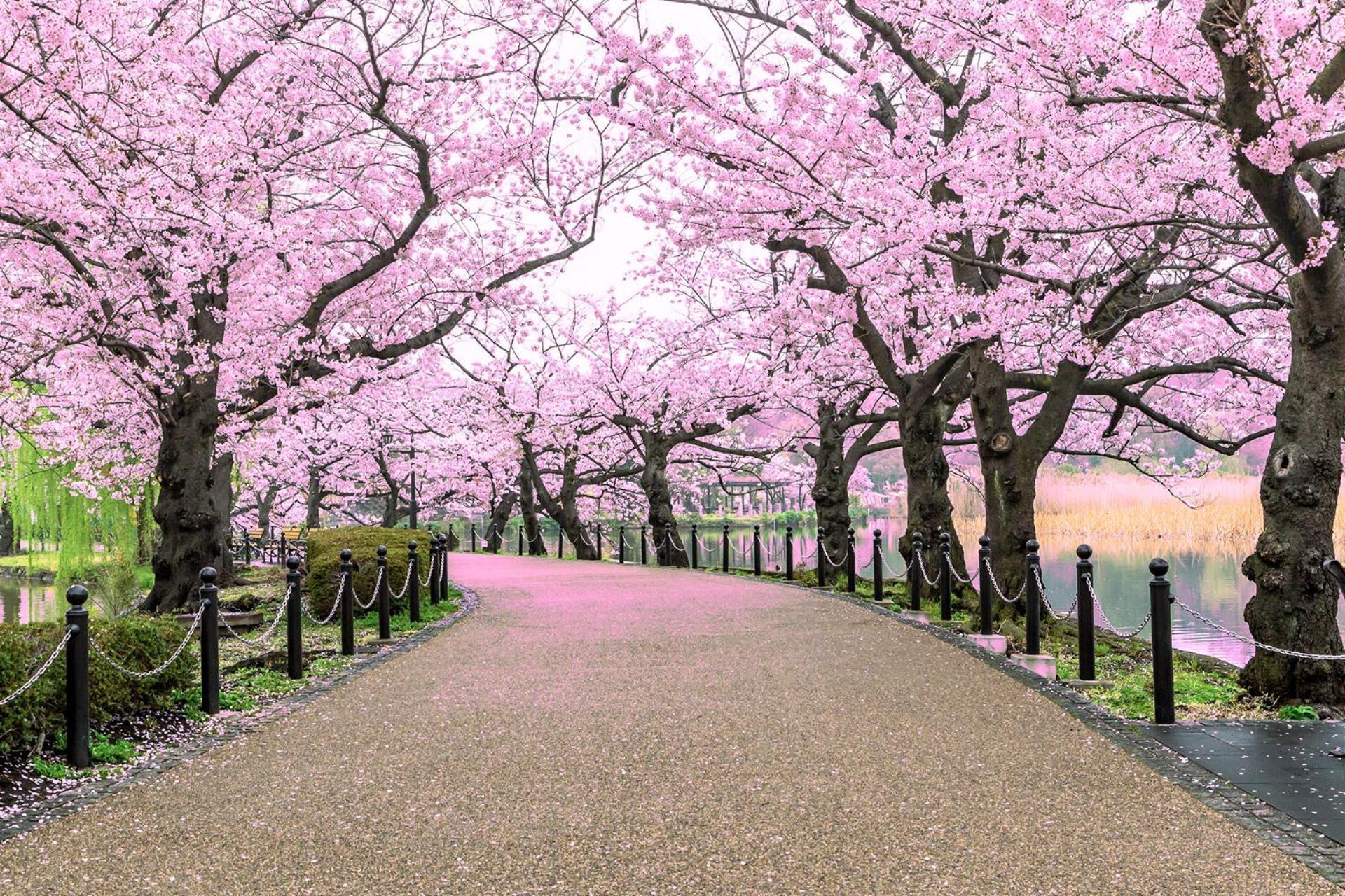 Hop Inn Tokyo Ueno Luaran gambar